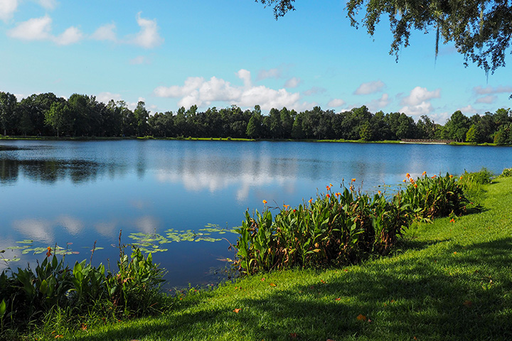 Picturesque pond in central florida with gorgeous aquascaping after lake revegetation services