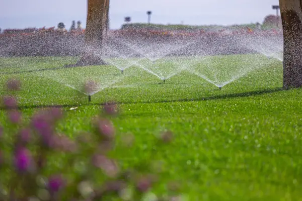 well irrigated lawn at central florida resort after sprinkler installation services