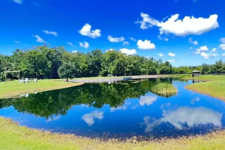 Lake front property after receiving mechanical weed control by Sorko Services in Central Florida